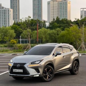 🚘 LEXUS NX 300h EXECUTIVE – 2019 🇰🇷✨